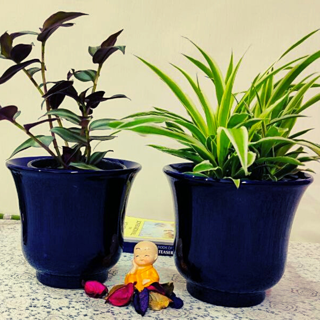 Homefrills High Glossy blue Colour Ceramic small Planters Pots combo for Indoor & Outdoor Home, Garden, Office Decor, Balcony Planters Pot Gamla Size- 14*13 cm colour-Blue (Set of 2 )